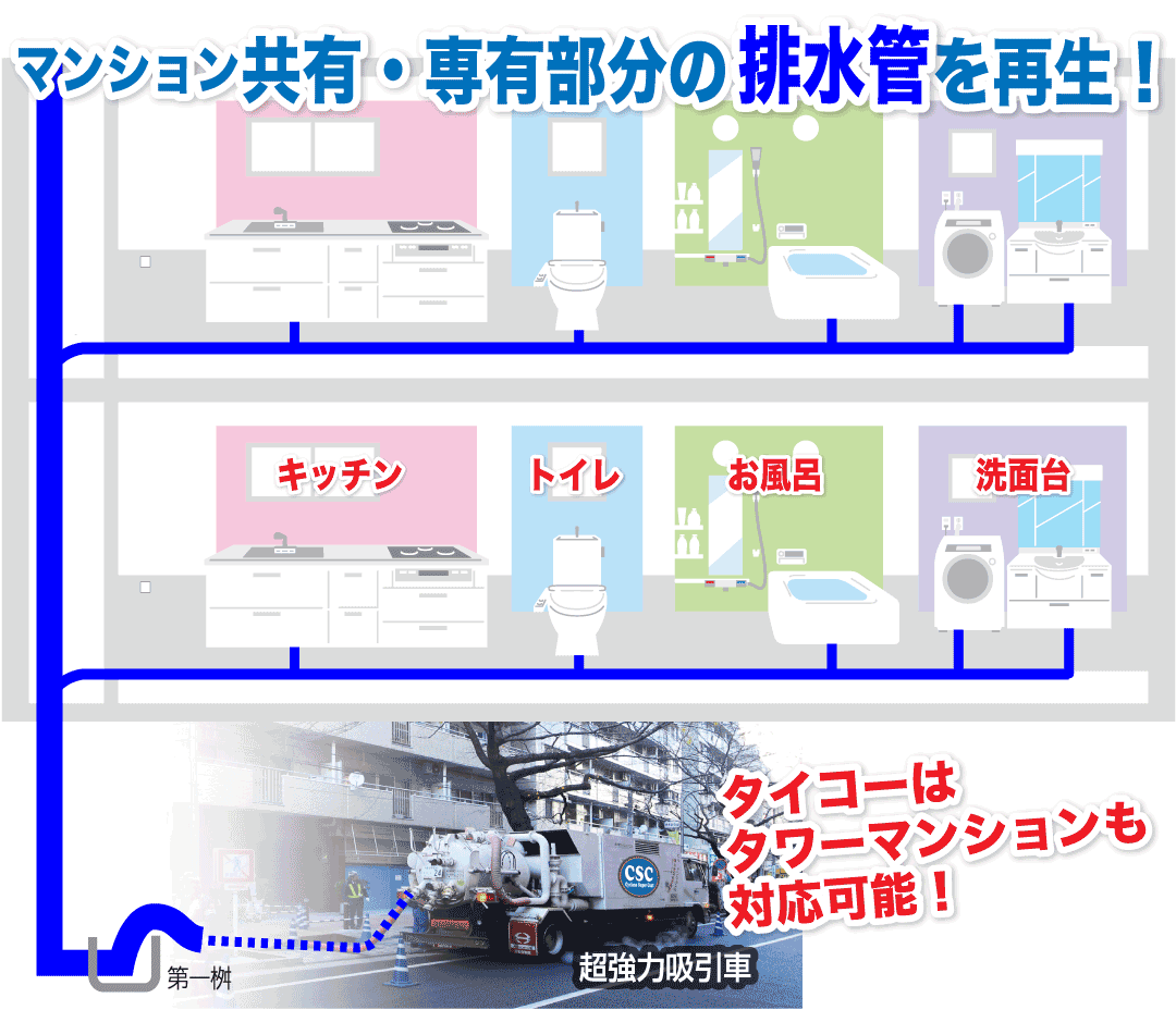 タイコーはタワーマンションも対応可能!マンション排水管の図(共有・専有部分)